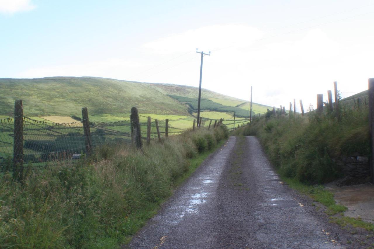 Swallows Rest Annascaul Bagian luar foto